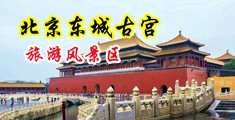 亚洲荡妇撒尿视频中国北京-东城古宫旅游风景区